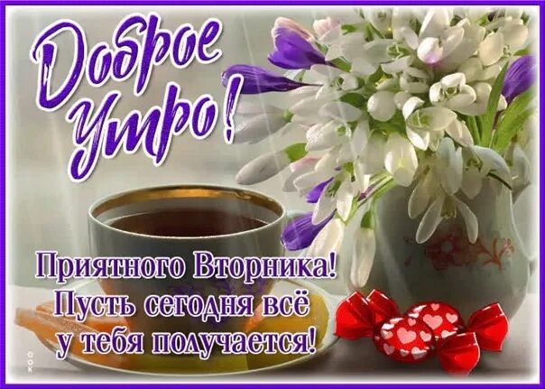 Картинки с пожеланием доброго утра 2024 Good Morning Tuesday #СССР #Вологодскаяобласть #Вологда #весна #доброеутро #добр