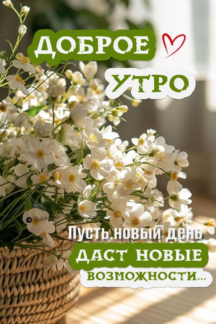 Картинки с пожеланием доброго утра 2024 ДОБРОЕ УТРО красивые открытки весна картинки утренние сообщения пожелания сторис