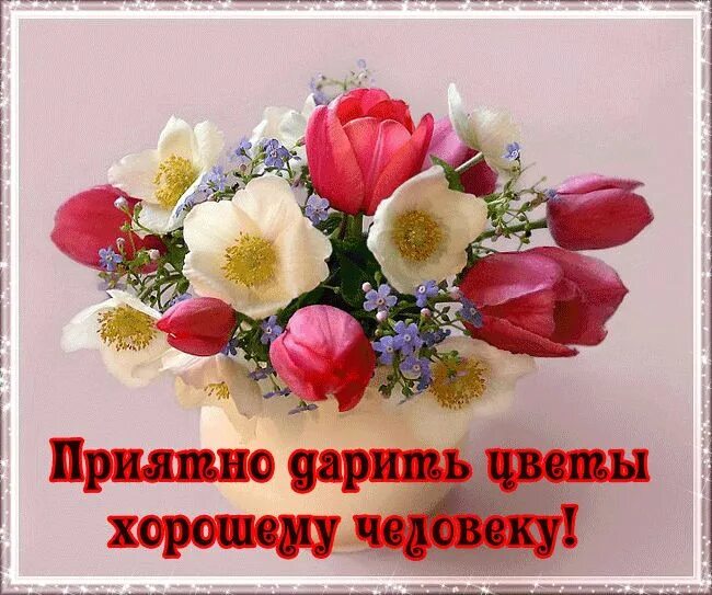 Картинки с пожеланием доброму человеку бесплатно Цветы хорошему человеку - Красивые цветы