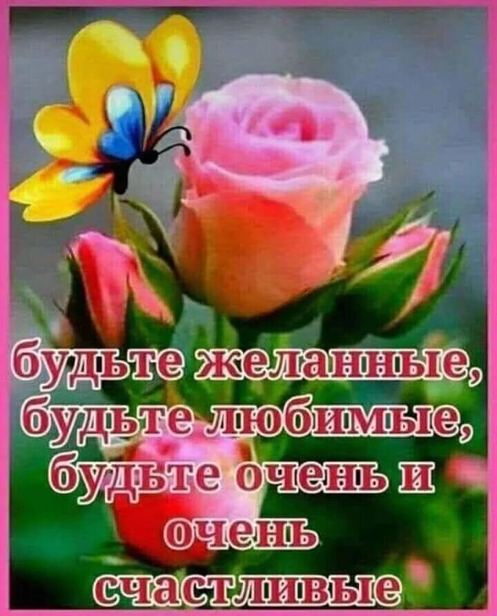 Картинки с пожеланием доброму человеку бесплатно Пин на доске Пожелания Маки цветы, Открытки, Счастливые картинки