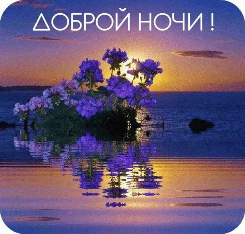 Картинки с пожеланиями доброй ночи красивые необычные Пин на доске Прикол Ночь, Пейзажи, Закаты