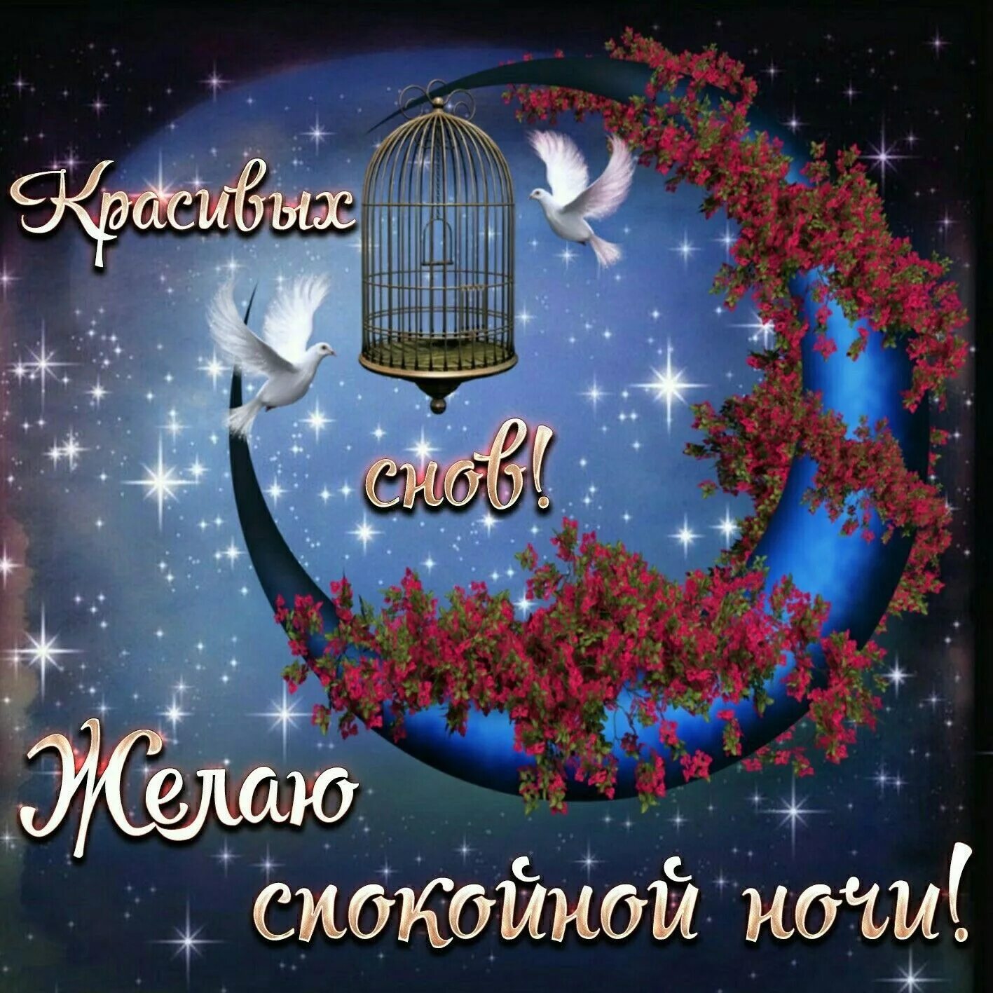Картинки с пожеланиями доброй ночи красивые необычные Пин на доске Спокойной ночи! Ночь, Спокойной ночи, Счастливые картинки