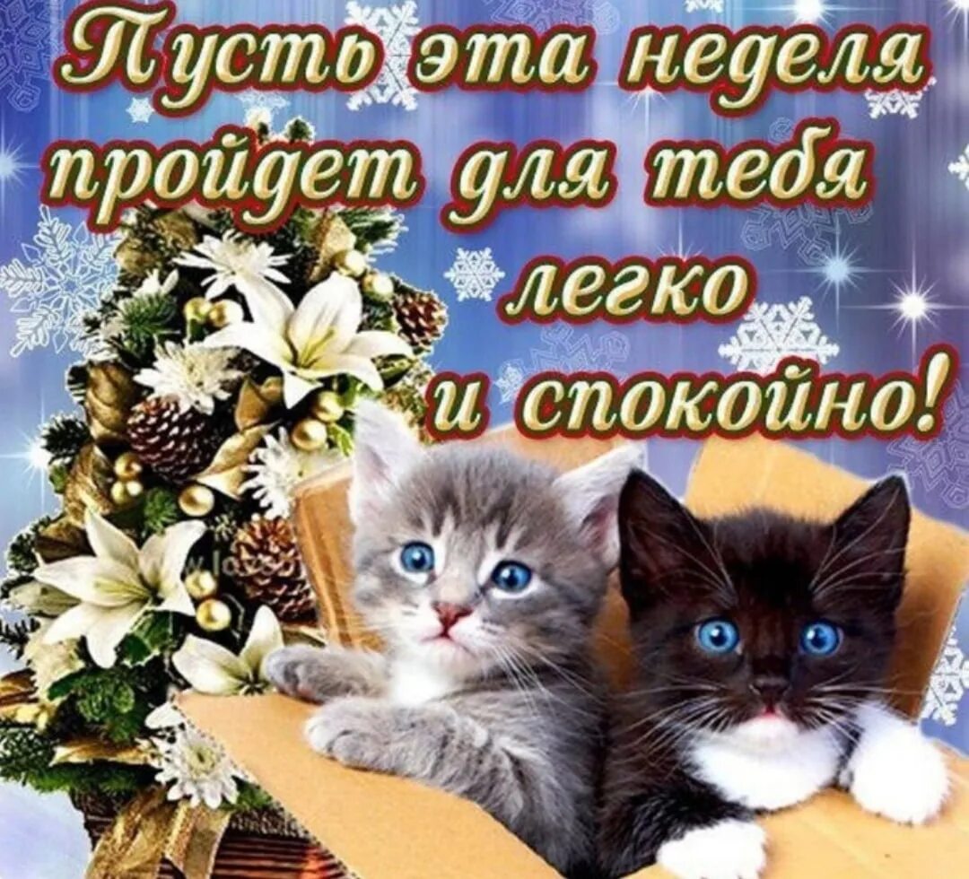 Картинки с пожеланиями хорошего дня недели С понедельником вас, Много сил желаем, Плодотворных начинаний, Никаких переживан