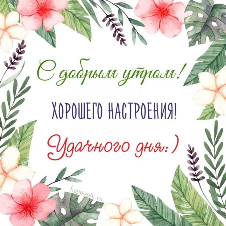 Картинки с пожеланиями хорошего дня недели Пожелания хорошего настроения и удачного дня в картинках. Доброе утро, Праздничн