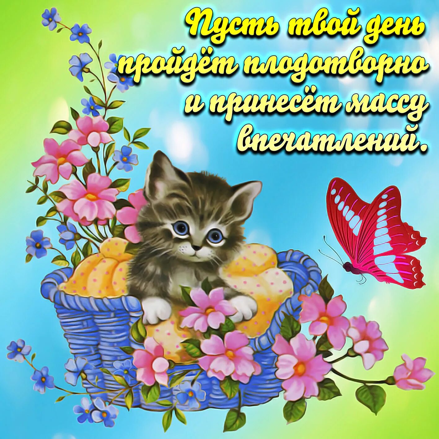 Картинки с пожеланиями милому доброго Пожелания доброго дня с котиками: найдено 89 изображений