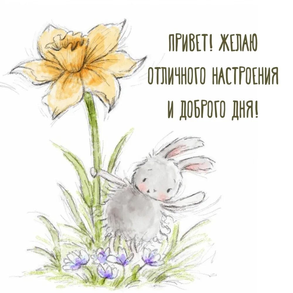 Картинки с пожеланиями милому доброго Картинка - Привет! Желаю отличного настроения и доброго дня!
