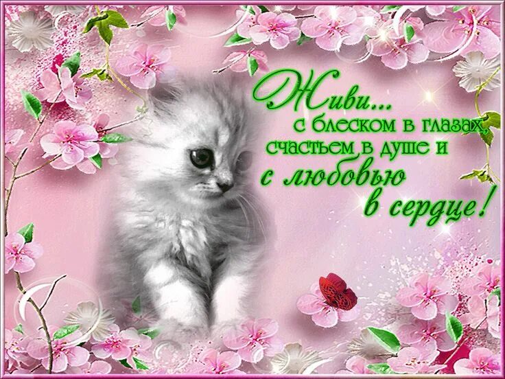 Картинки с пожеланиями милому доброго Pin de Любовь Григорьевна en УТРО