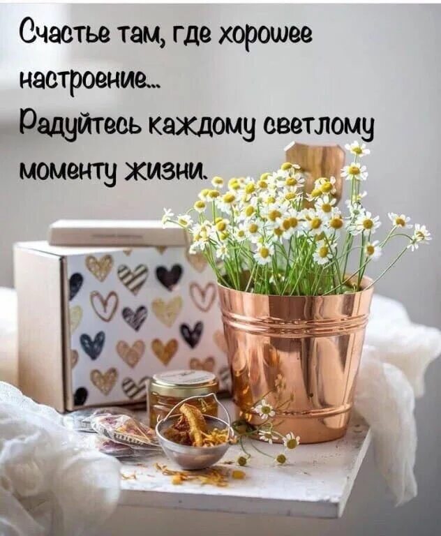 Картинки с пожеланиями самого позитивного Pin von Natanikolaevna auf цытаты Sprüche zitate, Sprüche, Zitate