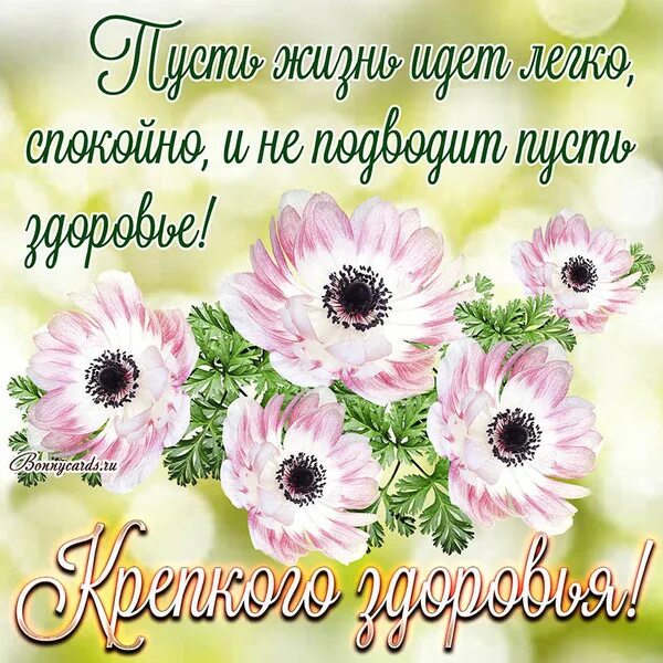 Картинки с пожеланиями здоровья и хорошего дня С добрым утром, дорогие друзья!!! - МИР, В КОТОРОМ МЫ ЖИВЁМ!, пользователь Лилия