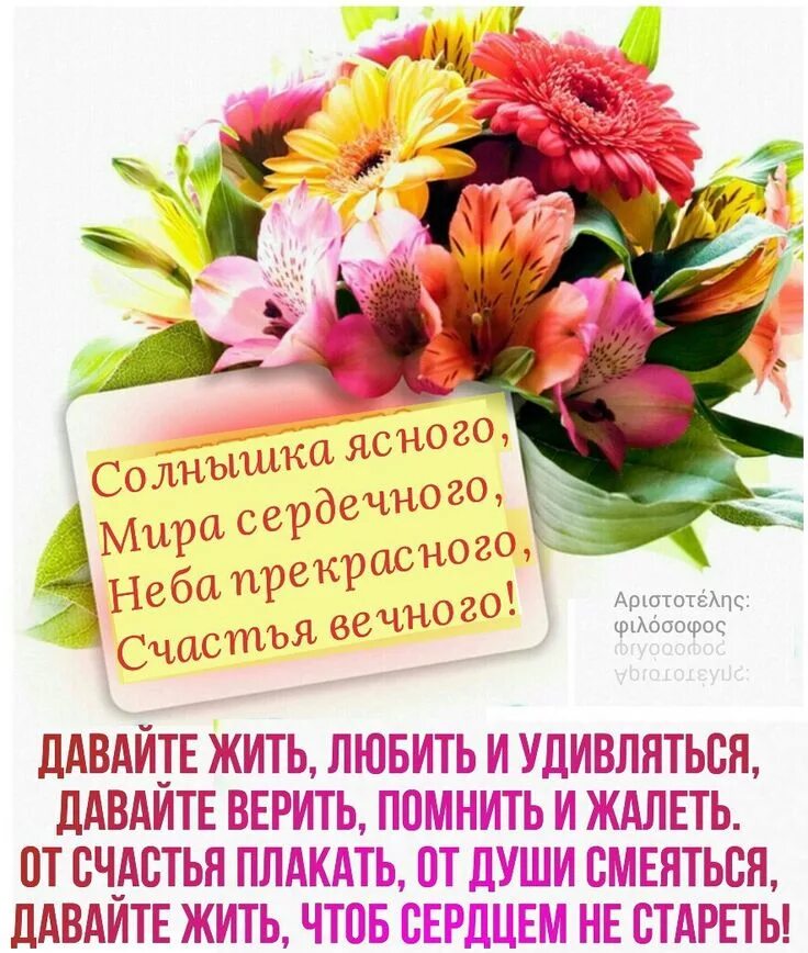 Картинки с пожеланиями здоровья и хорошего дня Пин на доске доброе утро)) Дни рождения, С днем рождения, Открытки