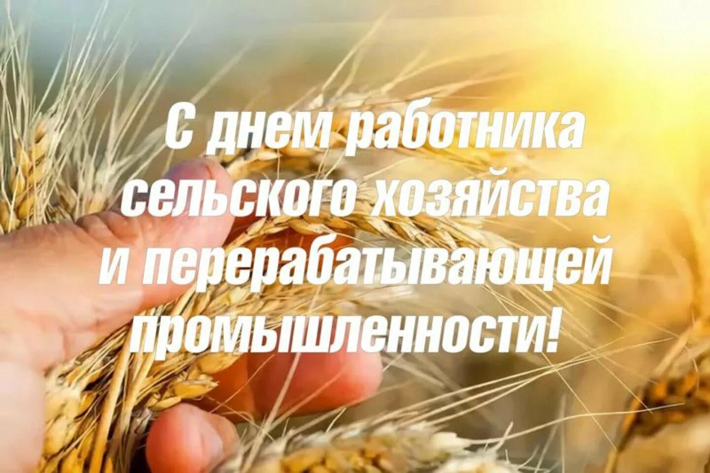 Картинки с праздником работника сельского хозяйства UiKit