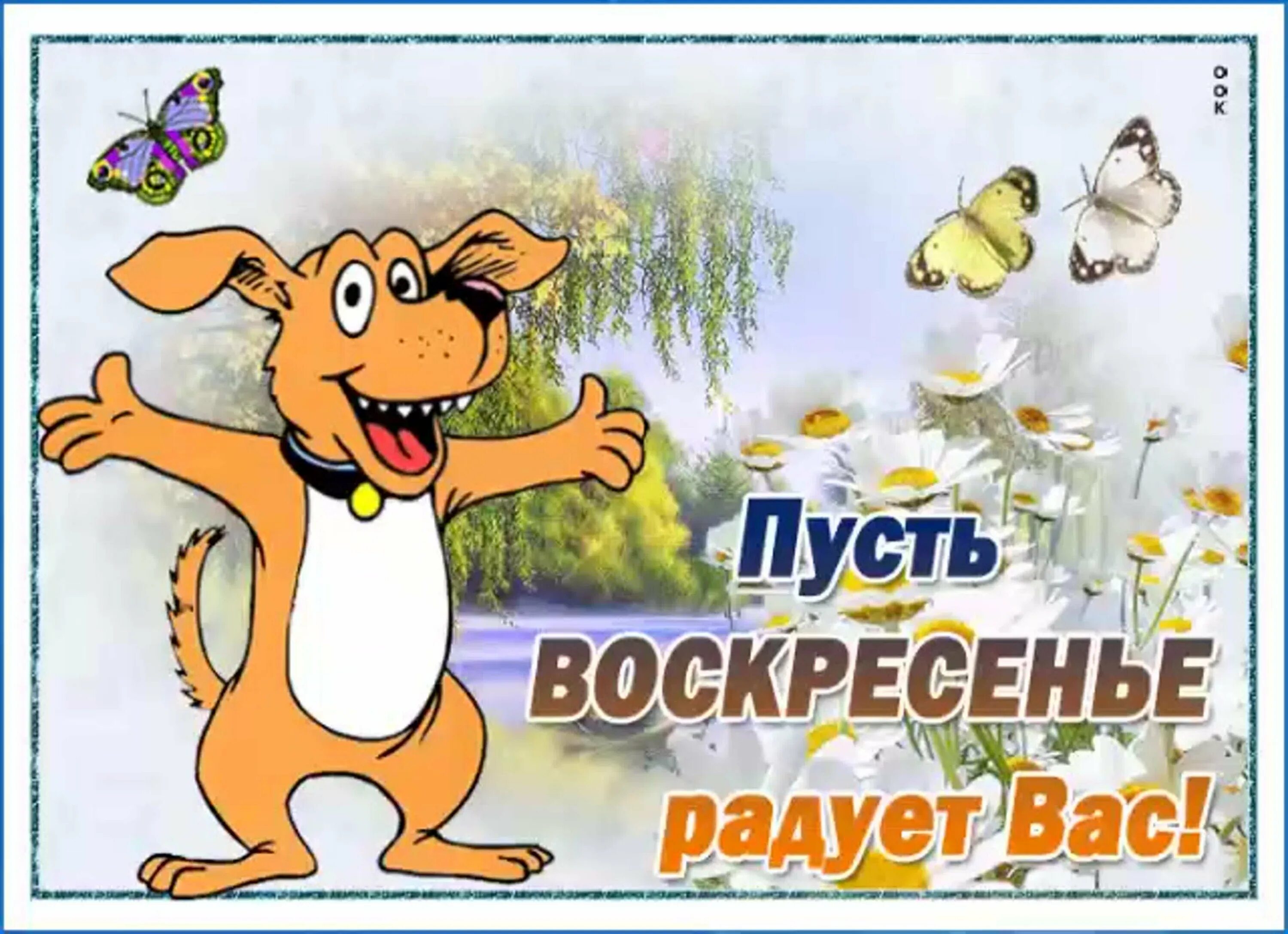 Картинки с прикольными надписью добрый день Открытки доброе утро ноября смешные: найдено 61 изображений