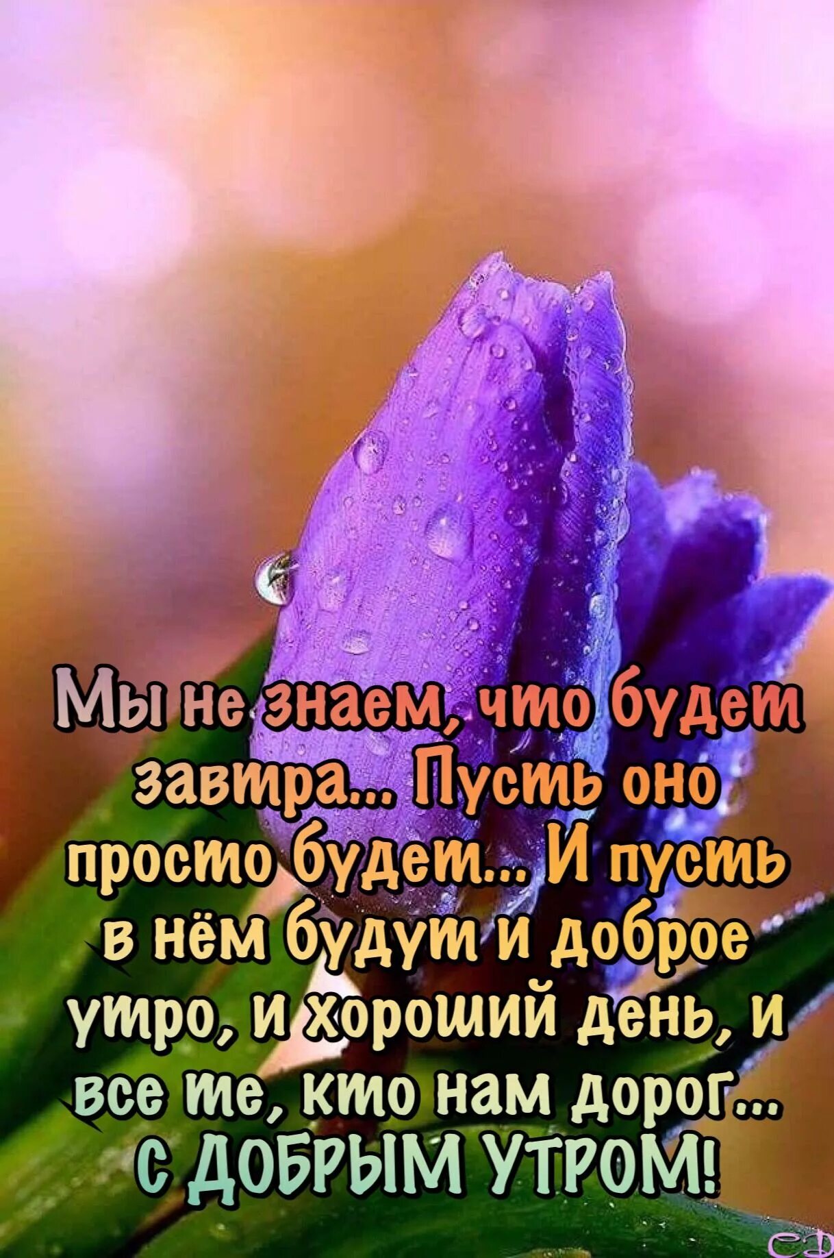 Картинки с цитатами и добрыми пожеланиями Пин на доске Доброе утро новое Вдохновляющие цитаты, Утренние сообщения, Позитив