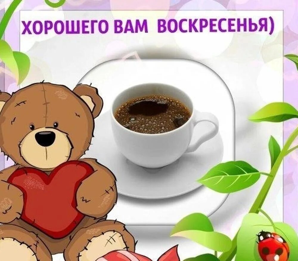 Картинки с воскресным днем прикольные смешные С воскресным добрым утром красивые надписями: найдено 90 изображений