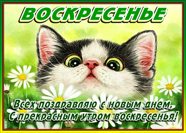 Картинки с воскресным днем прикольные смешные Анимированная открытка Воскресенье. Всех поздравляю с новым днем.