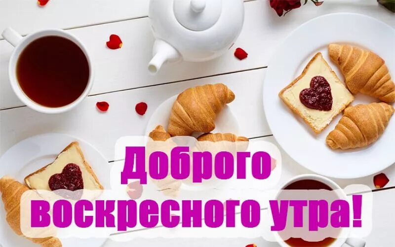 Картинки с воскресным днем прикольные смешные Доброе Воскресное Утро Пожелание Доброго Утра - смотреть видео онлайн от "ДОМОХО