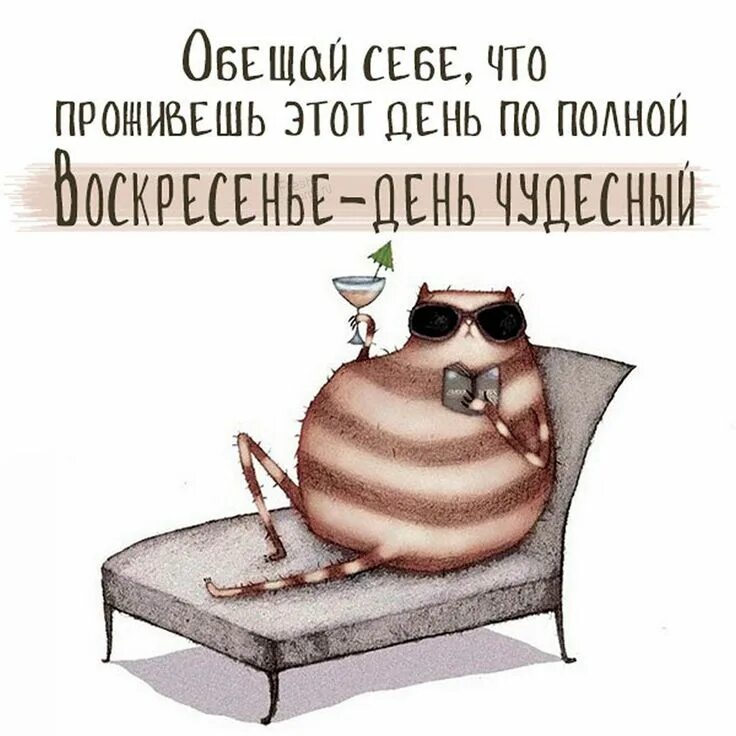 Картинки с воскресным днем прикольные смешные Открытка про воскресенье с надписями Веселые картинки, Рабочие приколы, Надписи