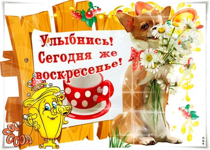 Картинки с воскресным днем прикольные смешные Улыбнись сегодня же воскресенье- Скачать бесплатно на otkritkiok.ru