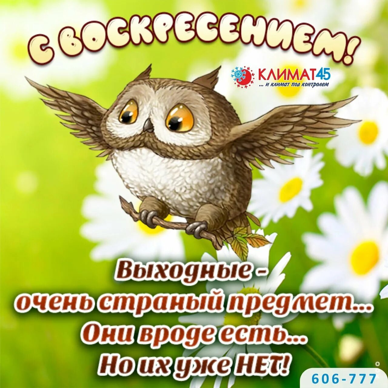 Картинки с воскресным днем прикольные смешные Картинки добрый утро отличного дня воскресенье: найдено 77 изображений