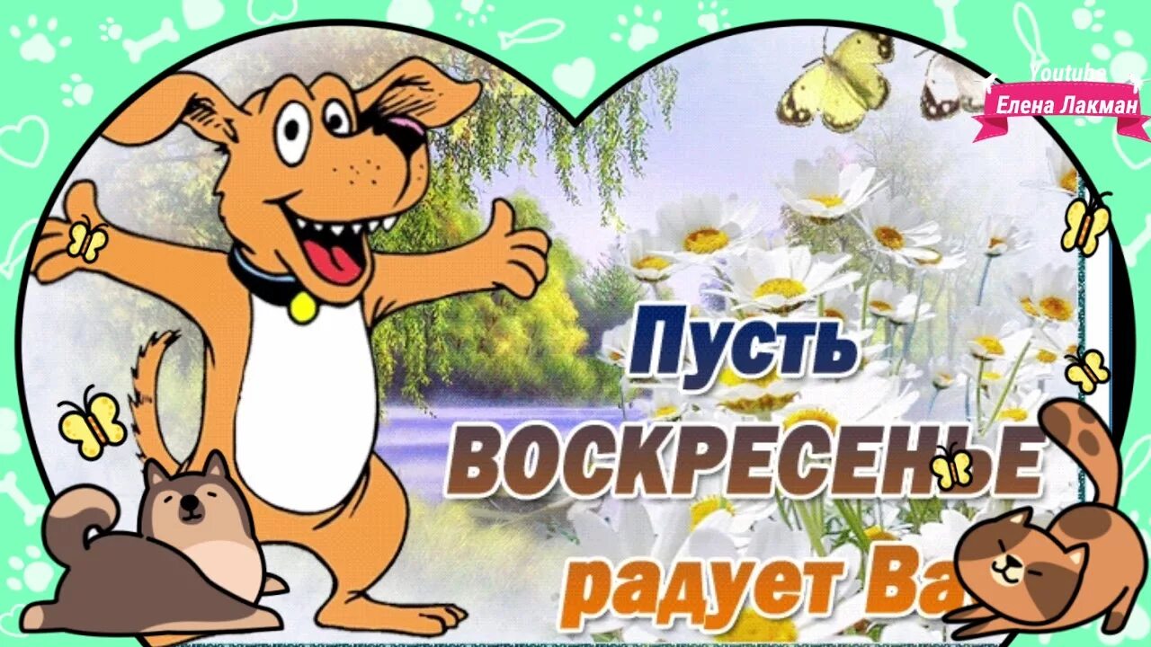 Картинки с воскресным днем прикольные смешные Отличного воскресного дня! Хорошего вам выходного! - YouTube