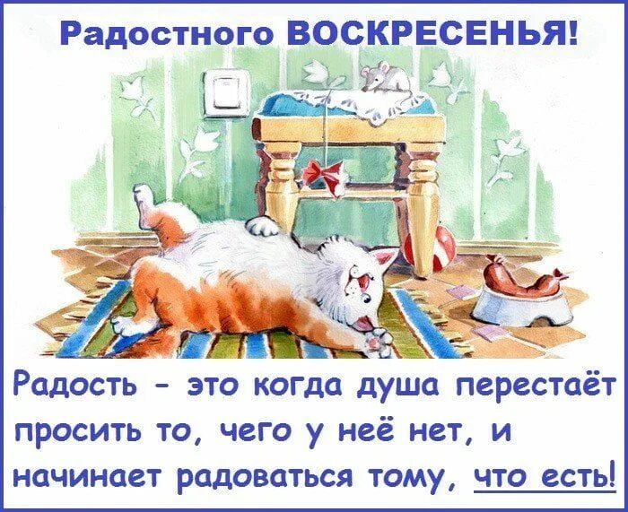 Картинки с воскресным днем прикольные смешные Картинки С ВОСКРЕСЕНЬЕМ ❤ Доброе утро, С праздником, Хорошего воскресенья, С Вых