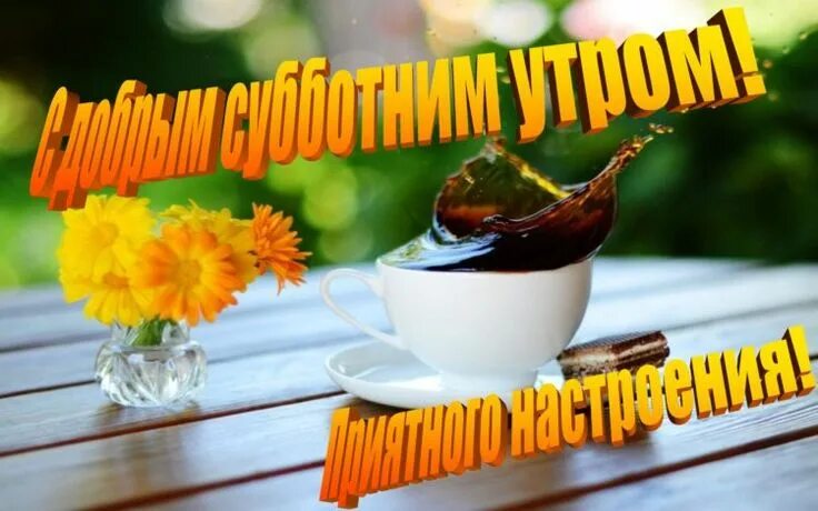 Картинки с выходными пожеланиями с добрым утром Картинки "Субботнее утро" (38 фото) Доброе утро, Картинки, Юмор
