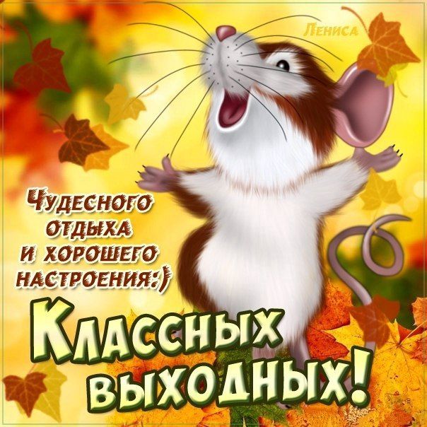 Картинки с выходными пожеланиями с добрым утром Музыкальные открытки Выходные Прикольные картинки анимации Выходной Доброе утро,
