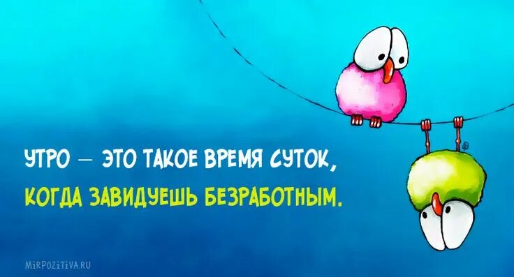 Картинки с юмором для позитивного настроения Утро - это такое время суток, когда завидуешь безработным. Открытки, Доброе утро