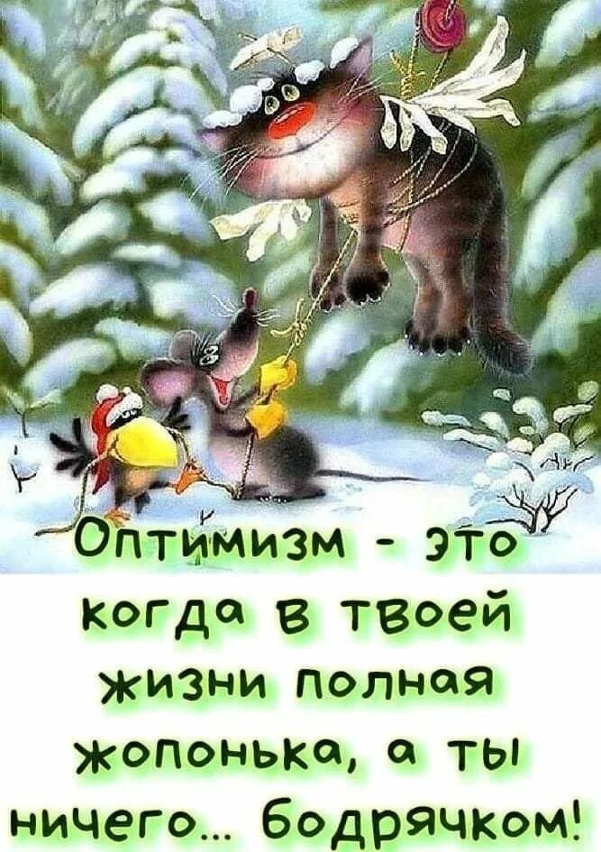 Картинки с юмором для позитивного настроения Пин на доске Смешные открытки