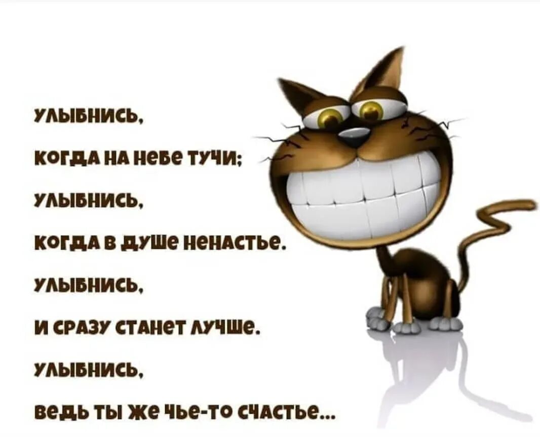 Картинки с юмором для позитивного настроения Стихотворение позитив - CoffeePapa.ru