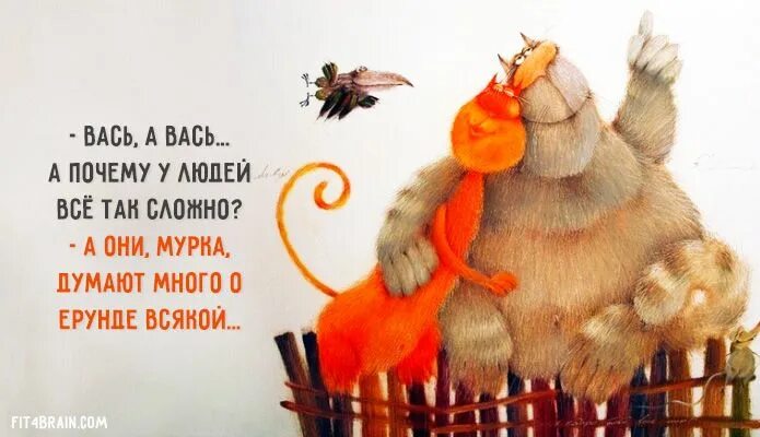 Картинки с юмором для позитивного настроения Весёлые картинки Funny quotes, Funny, Animals