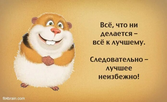 Картинки с юмором для позитивного настроения Очень смешные картинки: будьте счастливы везде и всегда Смешно, Веселые мысли, М