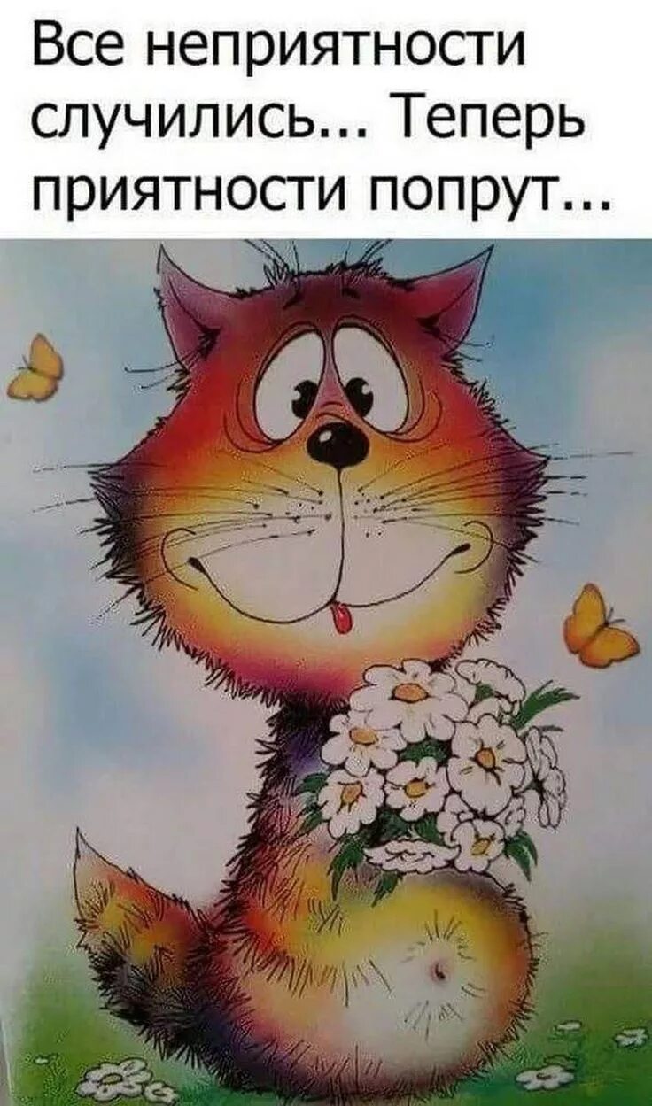 Картинки с юмором для позитивного настроения Pin by Kira Lanak on Позитив_Радость_Счастье Cool words, Inspirational quotes mo