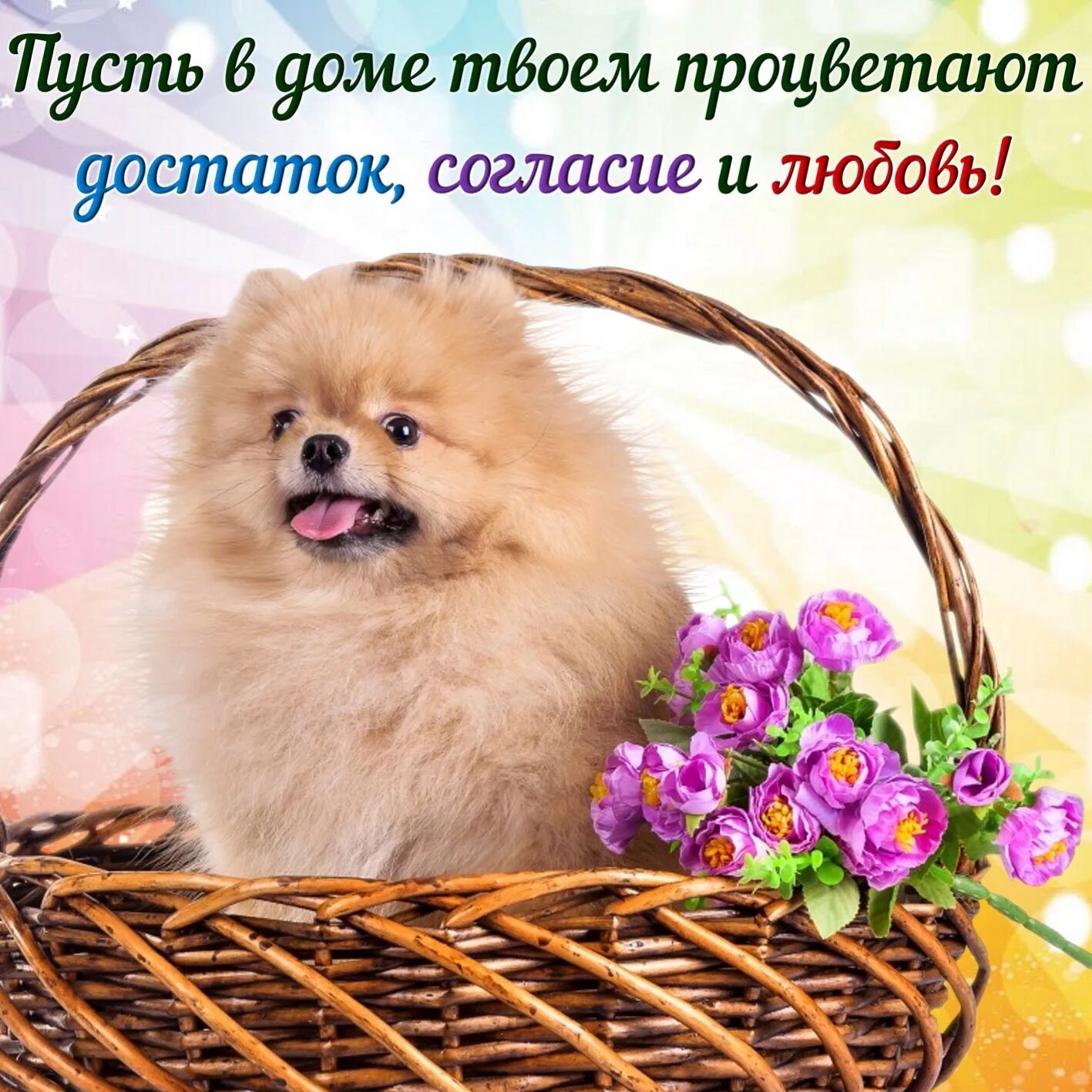 Картинки с животными с добрыми пожеланиями Открытка с пожеланием - пушистая собачка в корзине с цветами