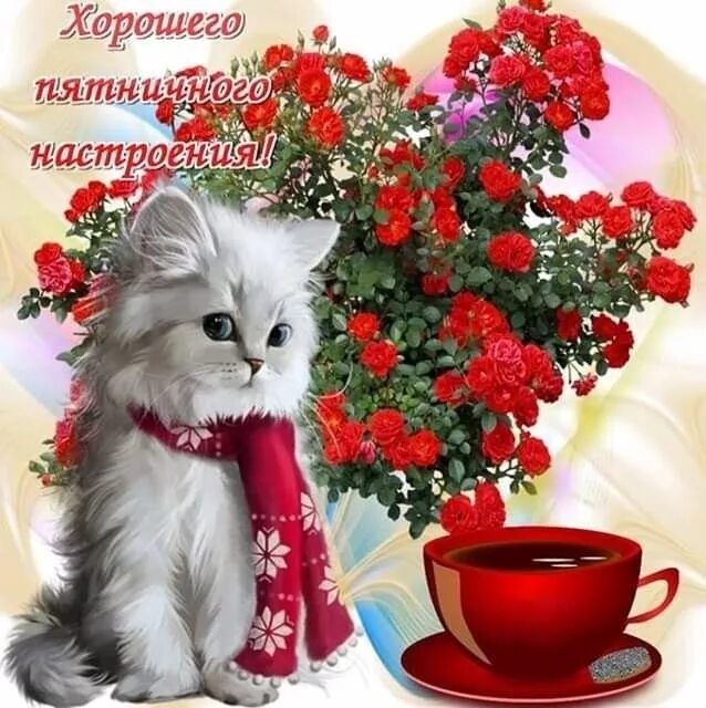 Картинки с животными с добрыми пожеланиями Pin on Доброе утро и день Cats, Animals