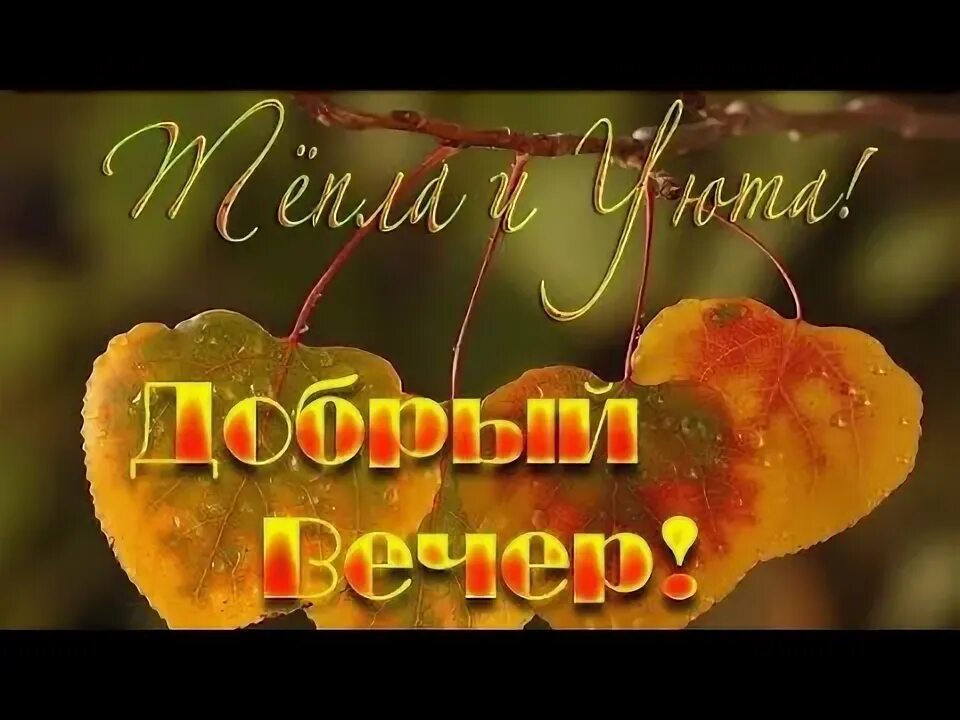 Картинки сентябрь добрый вечер 2024 года Тёплого, осеннего вечера!!! - YouTube
