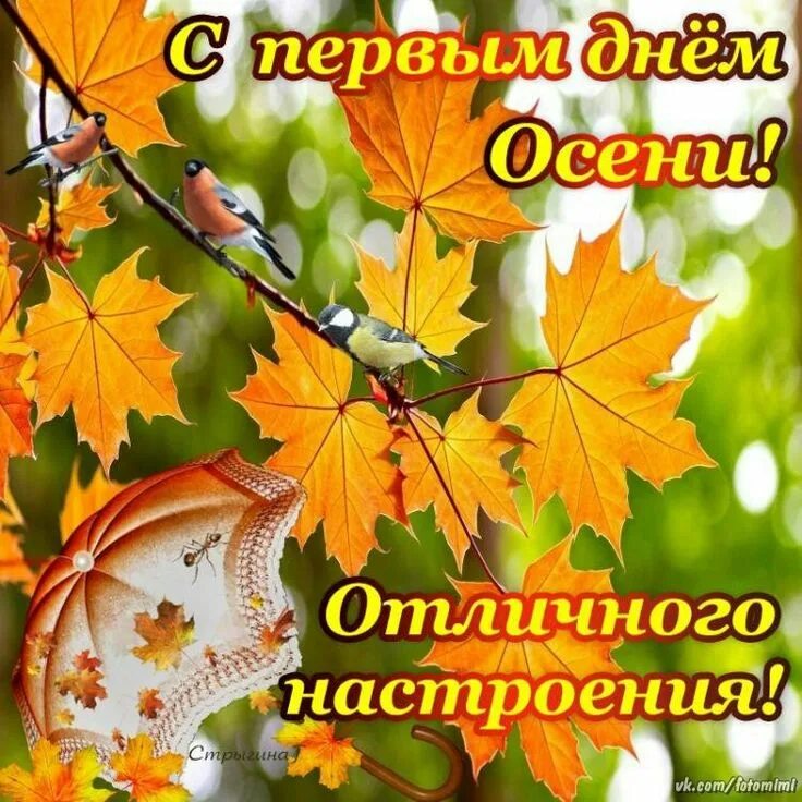 Картинки сентября красивые с пожеланиями Пин от пользователя Римма на доске ОСЕНЬ! Праздники. Пожелания. Гифки.Картинки. 