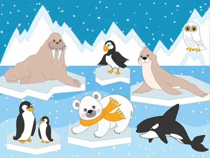 Картинки северных животных Arctic Animals Clipart Digital Vector Arctic Winter Ice - Etsy