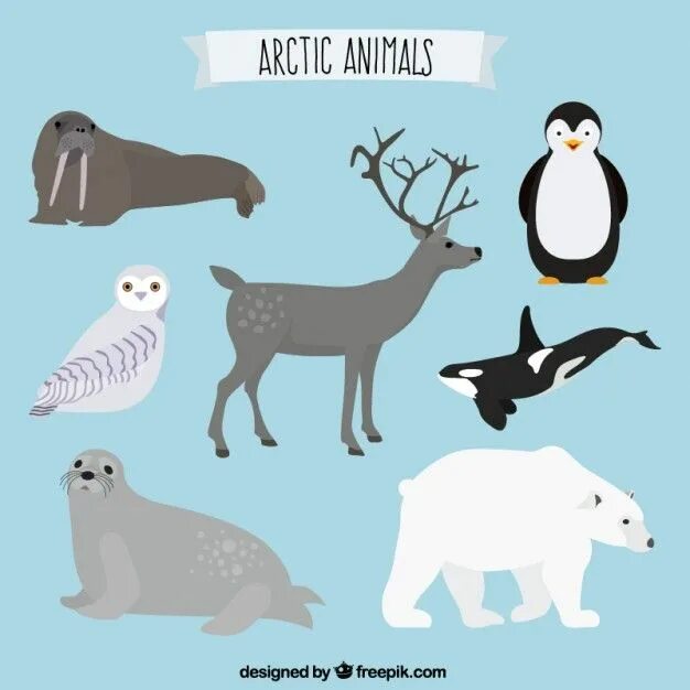 Картинки северных животных Premium Vector Artic animal collection in 2024 Artic animals, Arctic animals, An