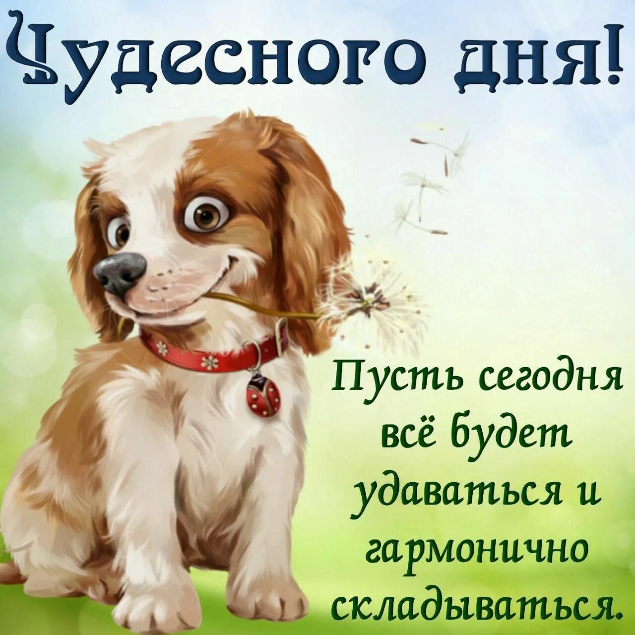Картинки скачать удачного дня самые лучшие Пин от пользователя Kira Lanak на доске Доброе утро и день Забавный, Открытки, Д