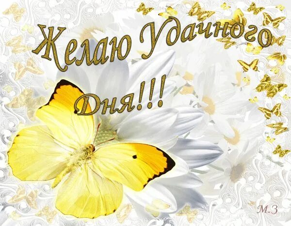 Картинки скачать удачного дня самые лучшие Картинки хорошего дня и настроения! (50 открыток)