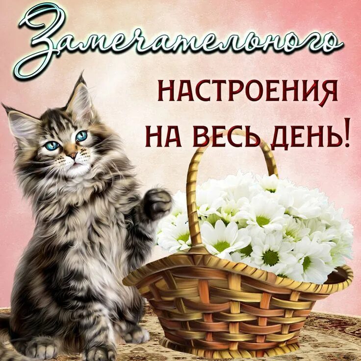 Картинки скачать удачного дня самые лучшие Открытки спокойной ночи Открытки, Ночь, Спокойной ночи