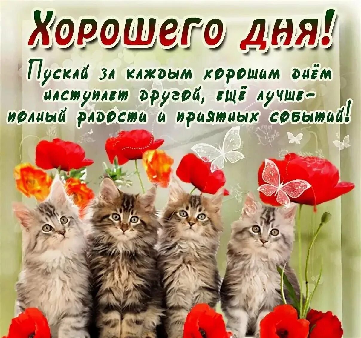 Картинки скачать удачного дня самые лучшие Хороший добрый сайт: найдено 88 изображений
