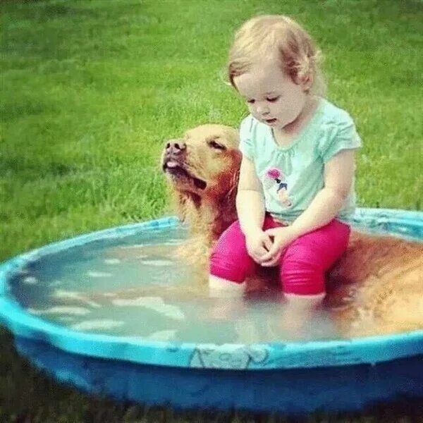 Картинки смешные детям про животных Фотографии детей и животных Dogs and kids, Pets, Cute dogs