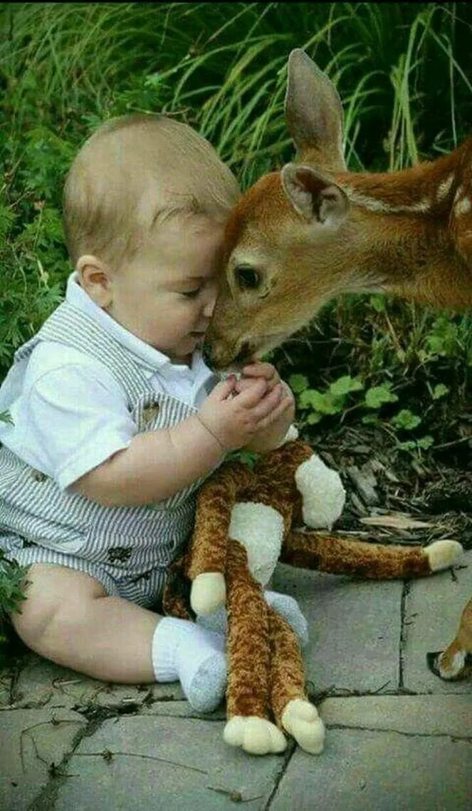 Картинки смешные детям про животных Pin by * Karola * II on Mignon, mignon,,,, Cute animals, Baby animals, Animals f