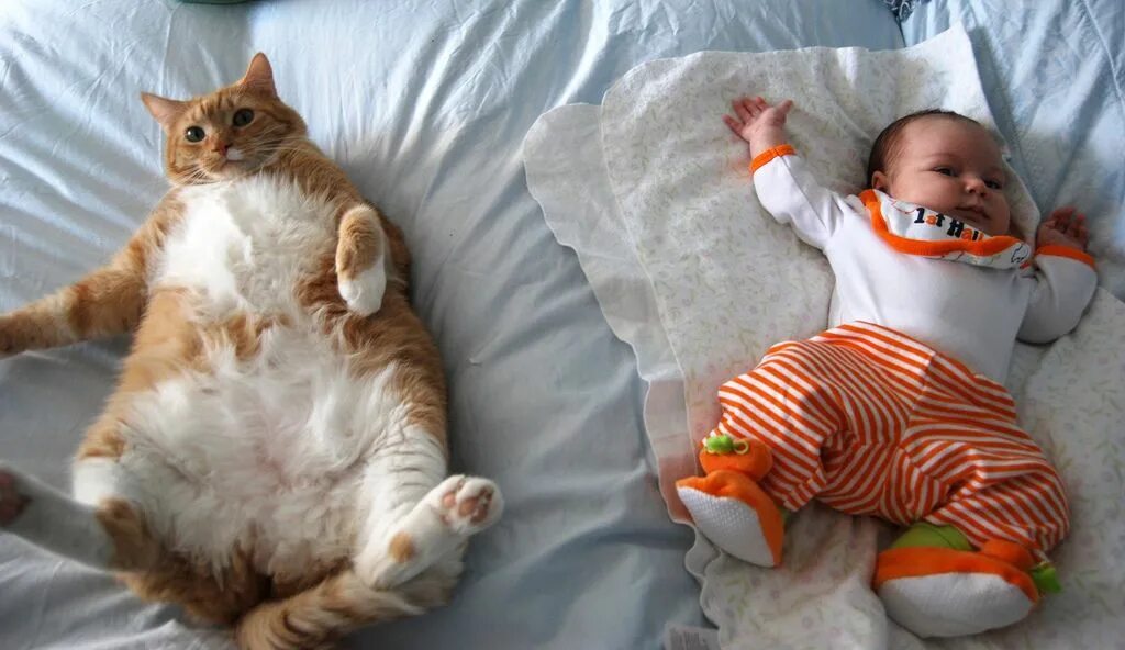 Картинки смешные детям про животных Pin on Fun Photos