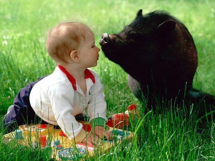 Картинки смешные детям про животных Pin by Simone Vaas on Pigs and friends Animals friendship, Pig, Animals