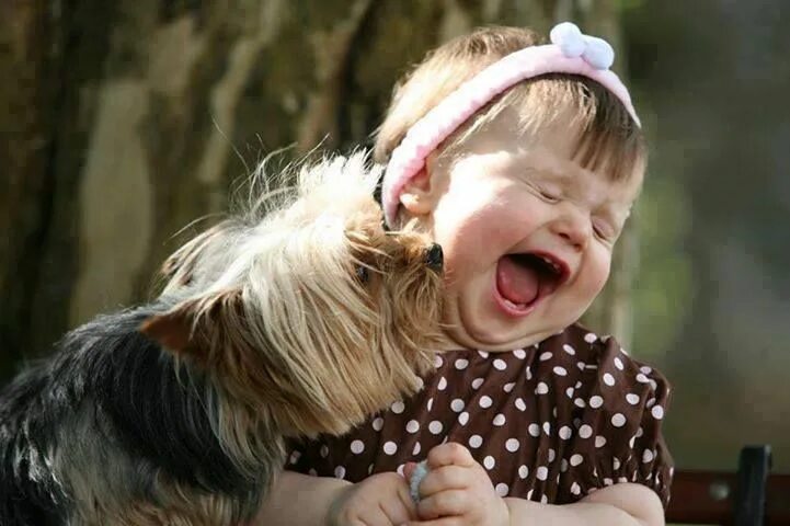 Картинки смешные детям про животных Pin en Amor e amizade Perros y bebes, Perros para niños, Mascotas