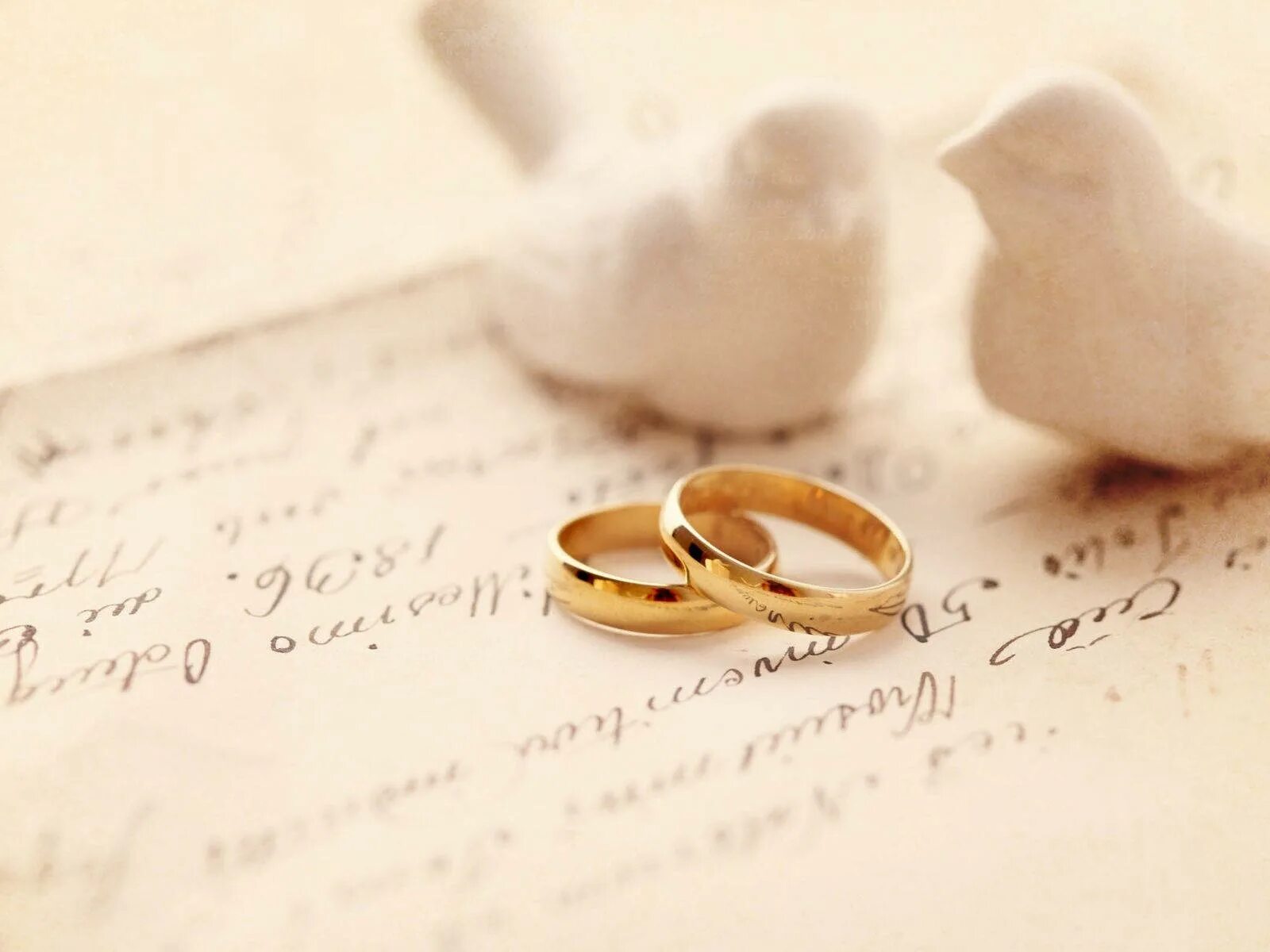 Картинки со словами свадьба Download Gold Wedding Rings And White Doves Wallpaper Wallpapers.com