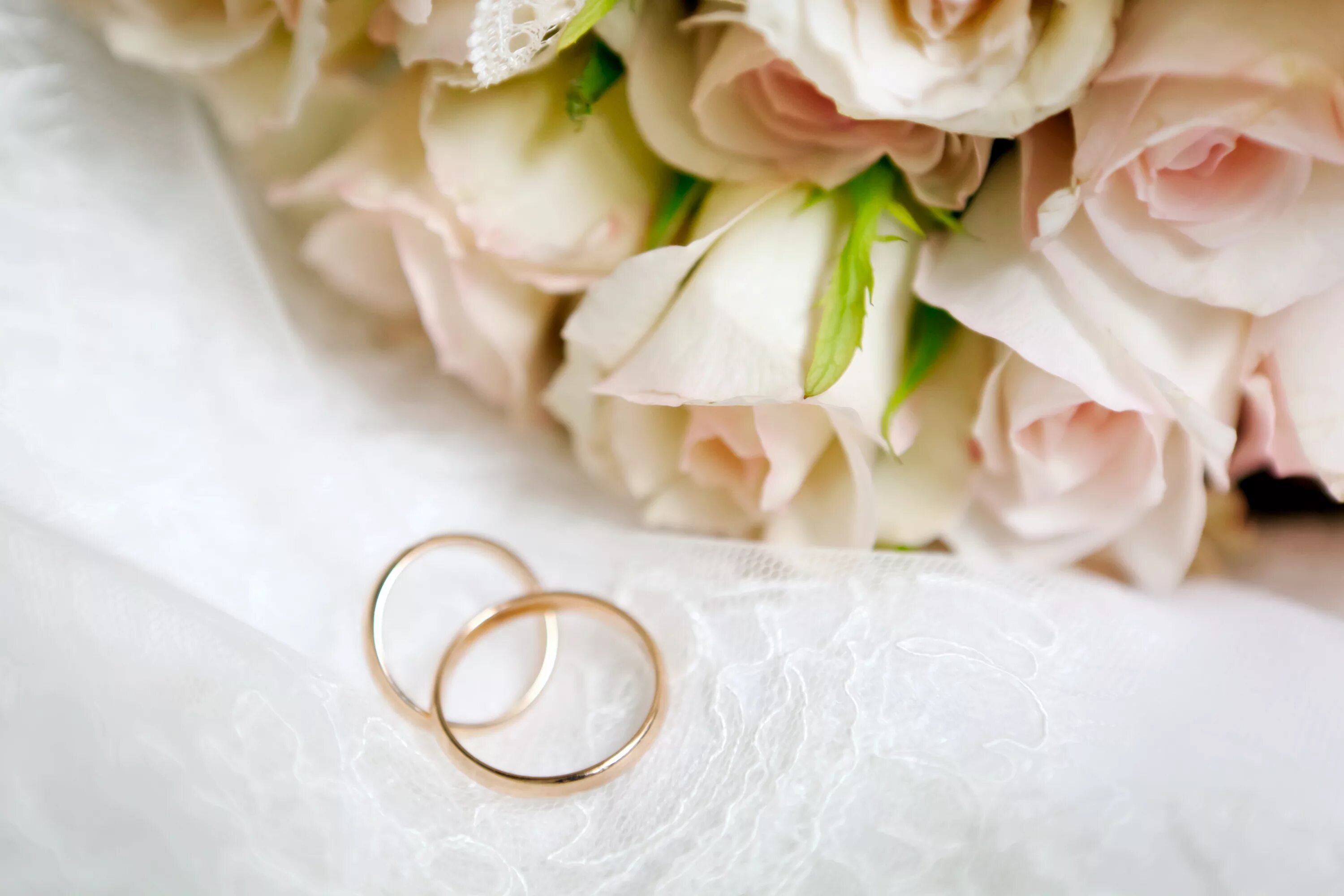 Картинки со словами свадьба Download wallpaper flowers, roses, flowers, engagement rings, roses, wedding rin